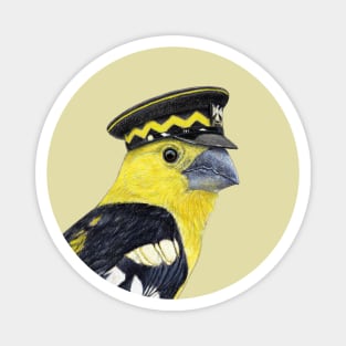 Golden grosbeak Magnet